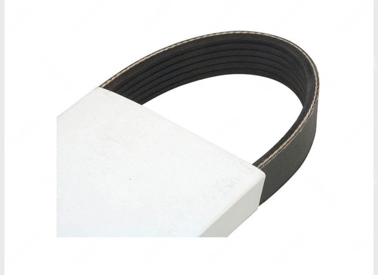 2043404 Hyster Forklift Fan Serpentine Belt | Fits GM 4.3 Engine