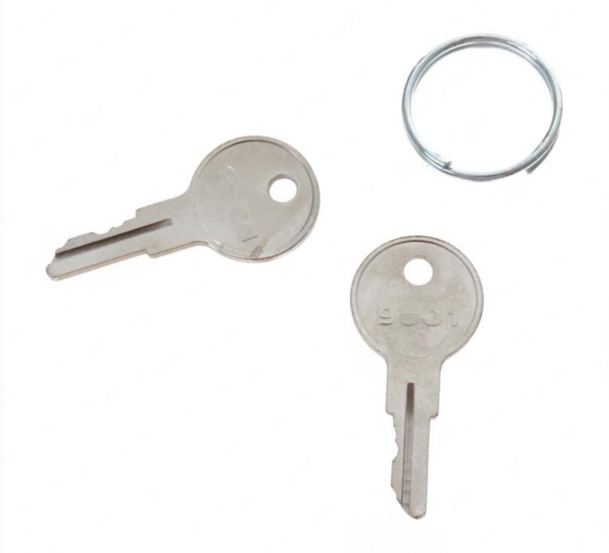 JLG 2860030 Key - Spare | Set of 2 Fits OEM Switch