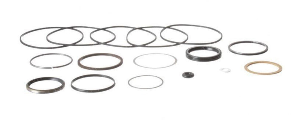 Skyjack 310568, SEAL KIT- HYDRAULIC MOTOR FOR 310545, SJIII3219