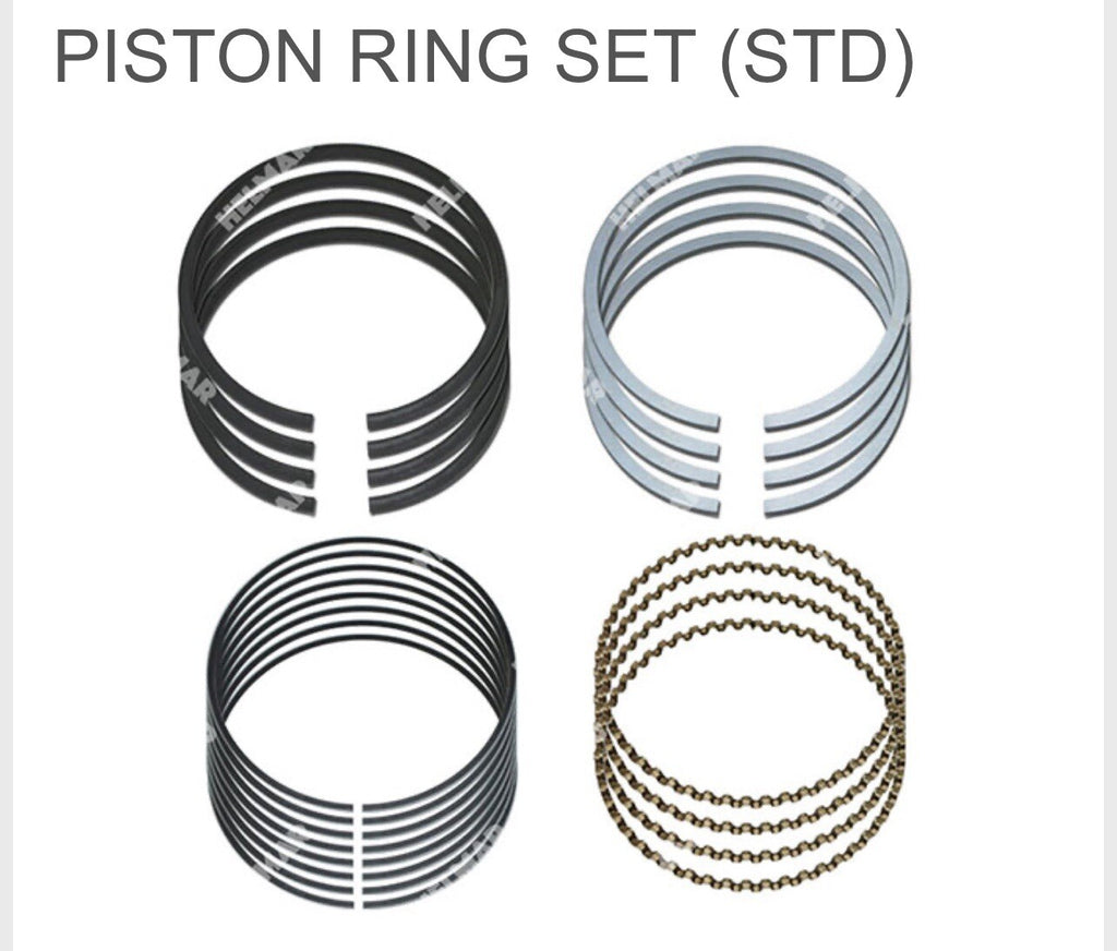Nissan Forklift H20 Piston Ring Set & Rod Bearing Set | STD