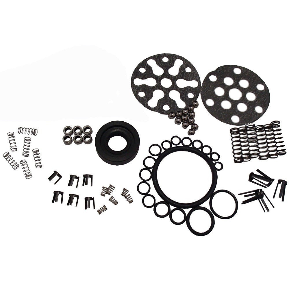 CKPN600A Pump Repair Kit Fits Ford New Holland Hydraulic Pumps